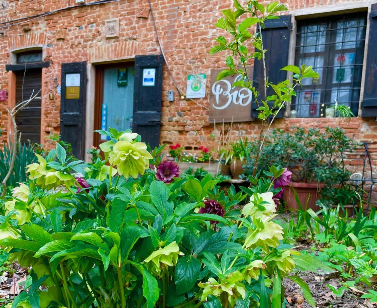 Agriturismo Olivazzi Quattordio Ngoại thất bức ảnh